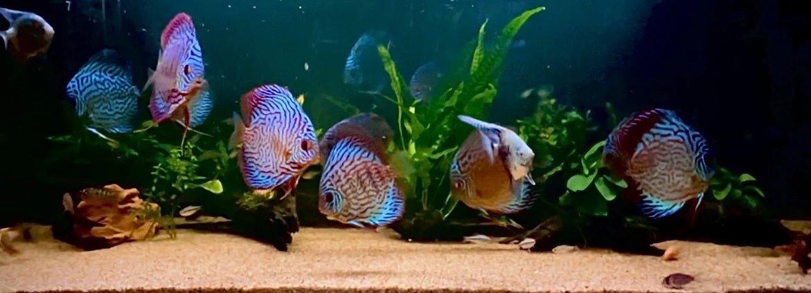 Welcome to Our Store